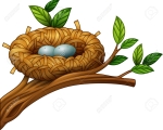 NEST
