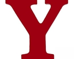 Y 