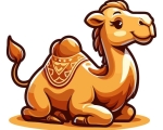 camel