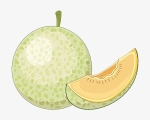 melon