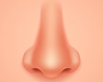 NOSE