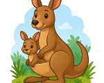 kangaroo