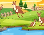 ARE THE KANGAROOS JUMPING?-- NO, THEY AREN
