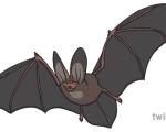 Bat 