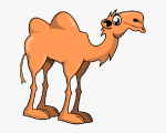 CAMEL