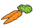 carrot
