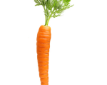 CARROT