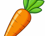 Carrot