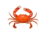 CRAB