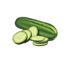 CUCUMBER