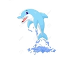 DOLPHIN