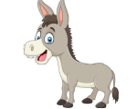 DONKEY