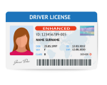 DRIVING LICENSE