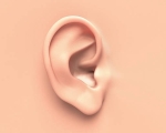 EAR
