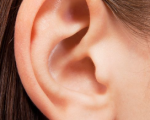 Ear 