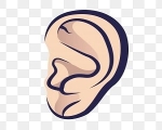 EAR