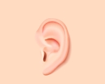 EAR