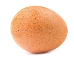 EGG