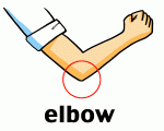 ELBOW