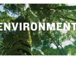 ENVIRONMENT