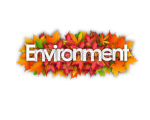 ENVIRONMENT