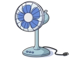 Fan 