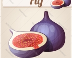 FIG