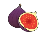 Fig 