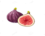fig