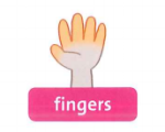 FINGERS