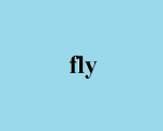 FLY