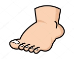 FOOT