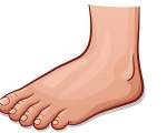 FOOT