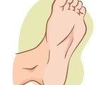 FOOT