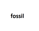 fossil