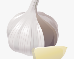 GARLIC
