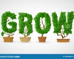 GROW