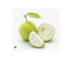 GUAVA