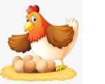 HEN
