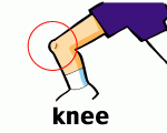 KNEE