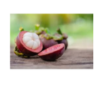 MANGOSTEEN