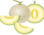 MELON
