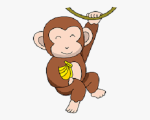 MONKEY