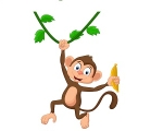 MONKEY