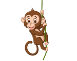 MONKEY