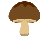 MUSHROOM