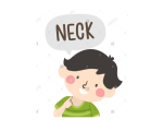 NECK