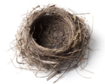NEST