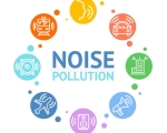 NOISE POLLUTION