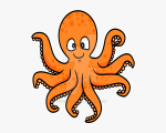 OCTOPUS